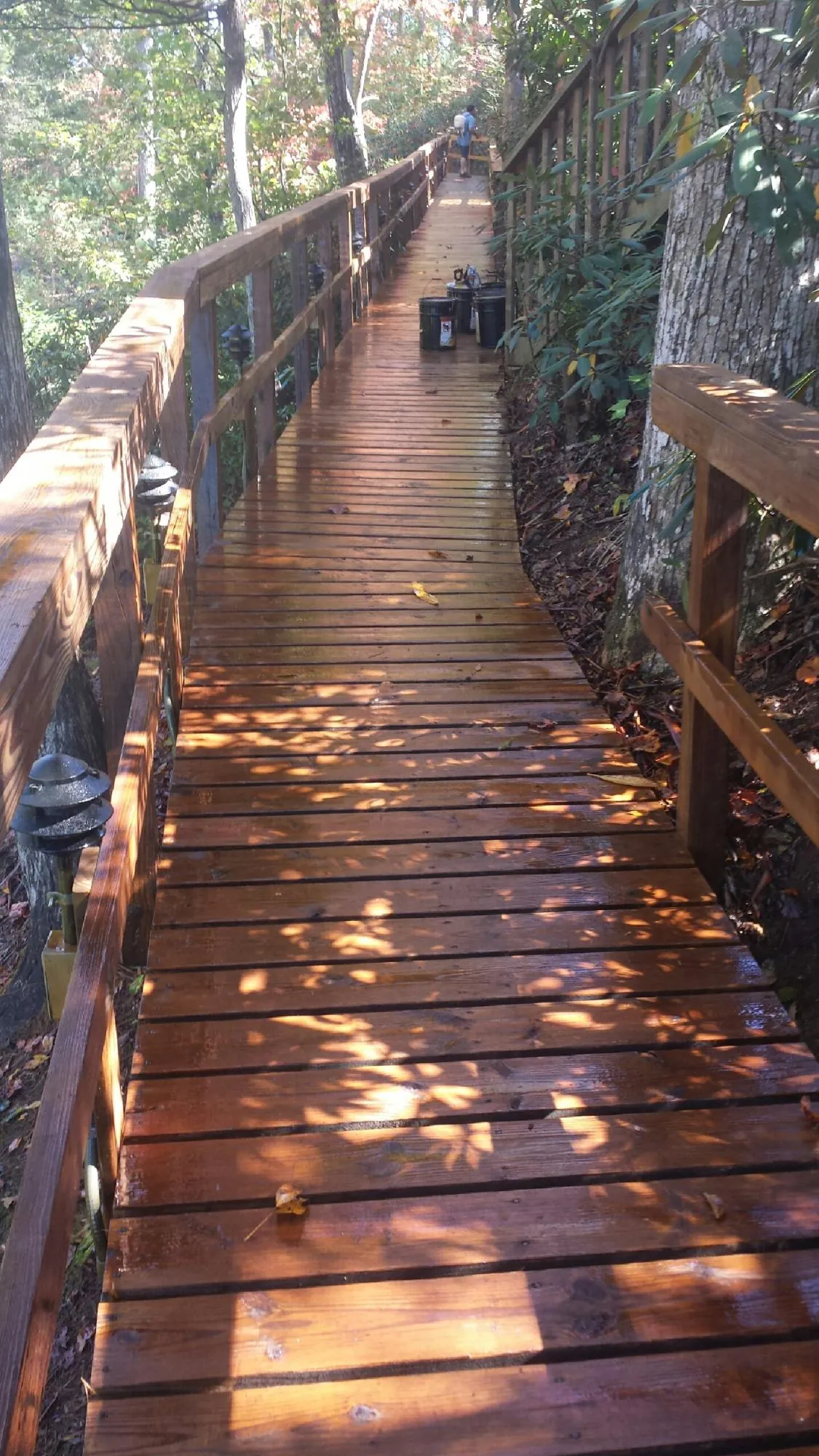 Freshly stained wood walkway winding through the woods in Chokio